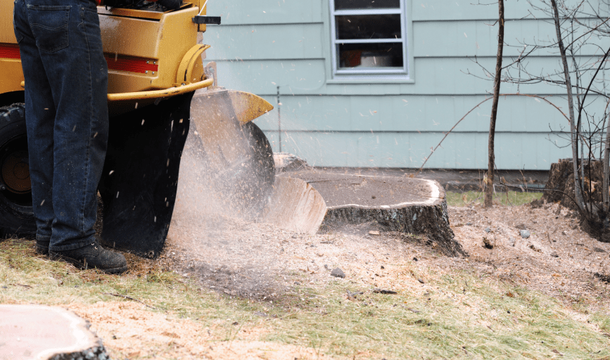 Foster's Tree Service and Landscaping