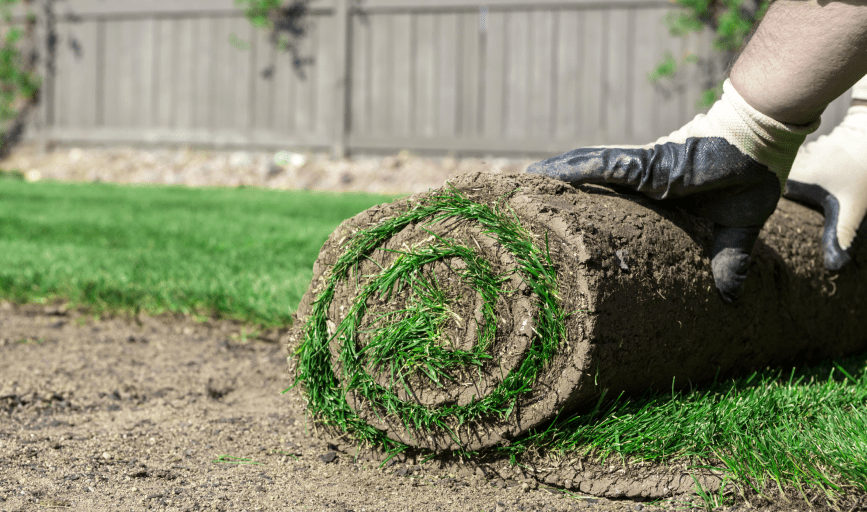 Foster's Tree Service and Landscaping